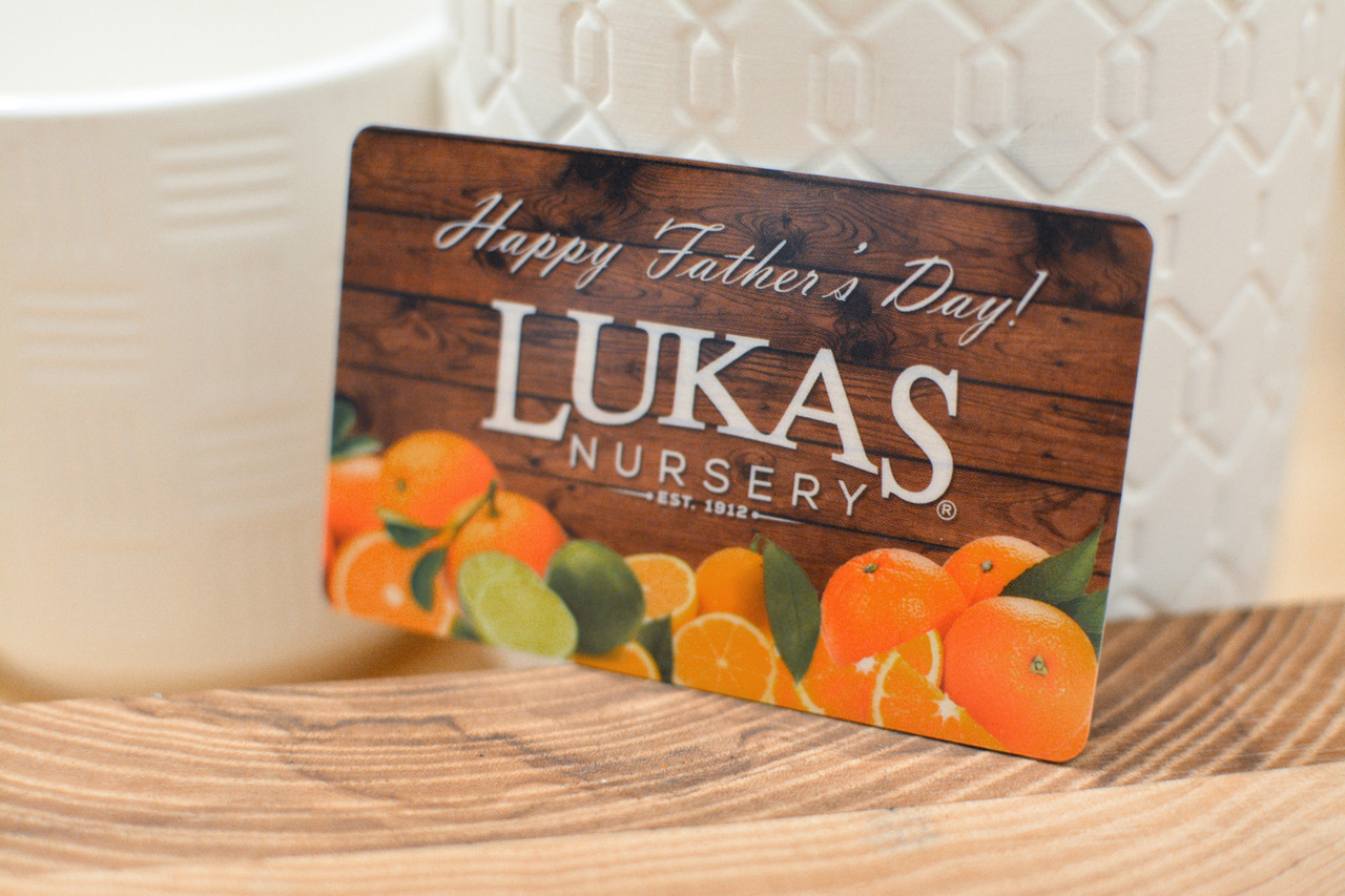 A grocery store gift card design with fresh fruit and a father's day holiday message